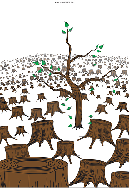 Deforestation William Hogan Graphic Design Deforestation William Hogan Graphic Design
